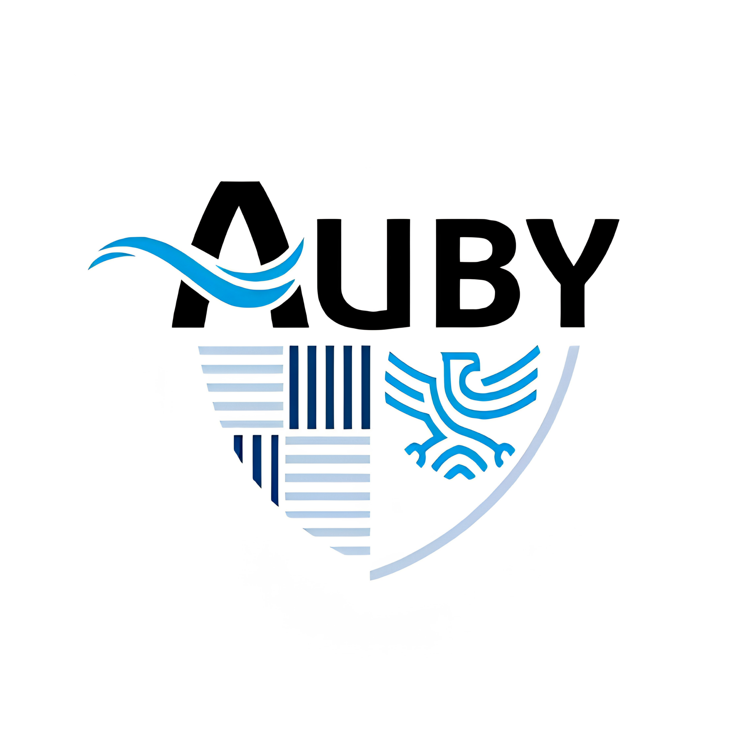Ville de Auby Logos collectivités partenaires Ville de Roubaix Douai Orchies Somain Auby Positive Lab Nord