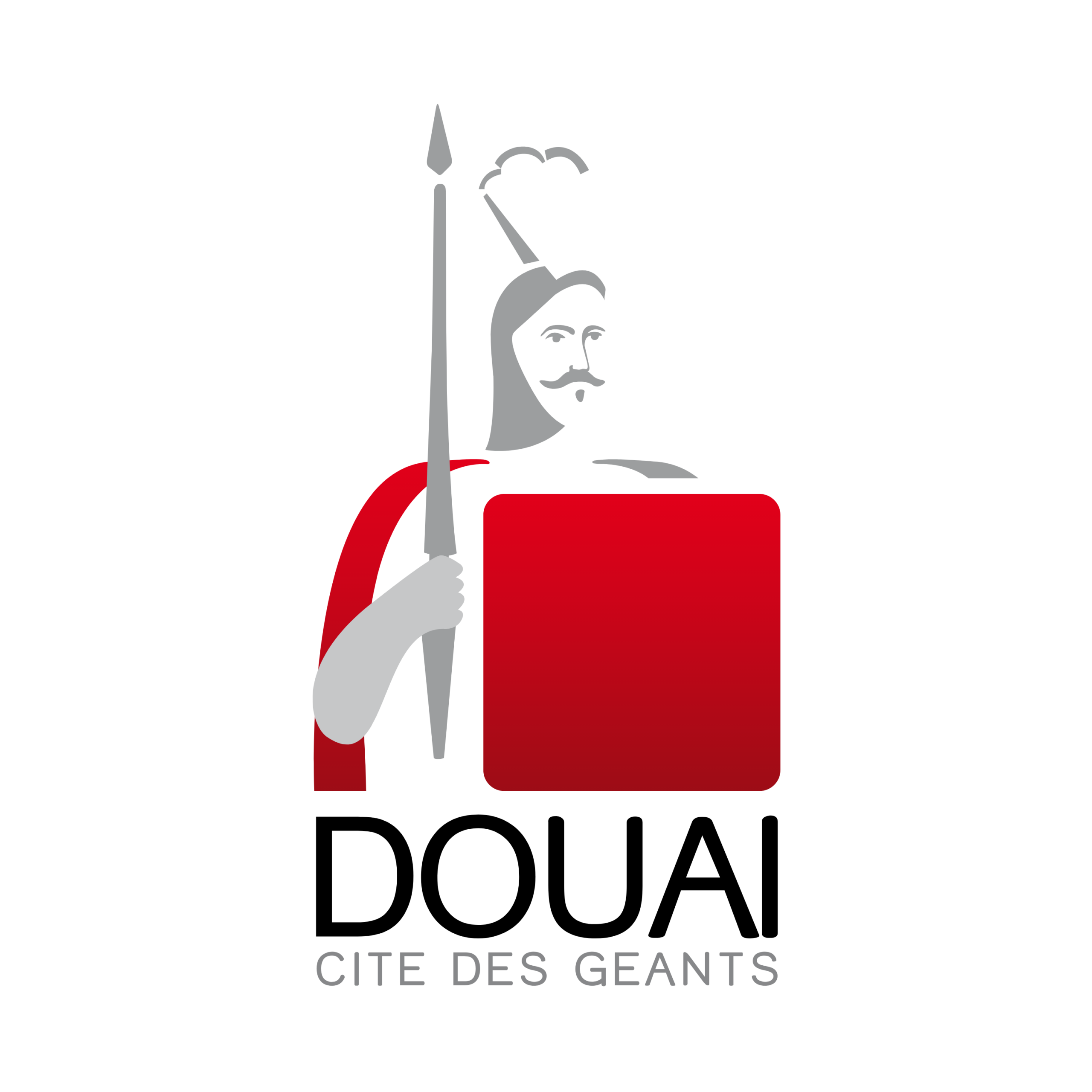 Ville de Douai Logos collectivités partenaires Ville de Roubaix Douai Orchies Somain Auby Positive Lab Nord