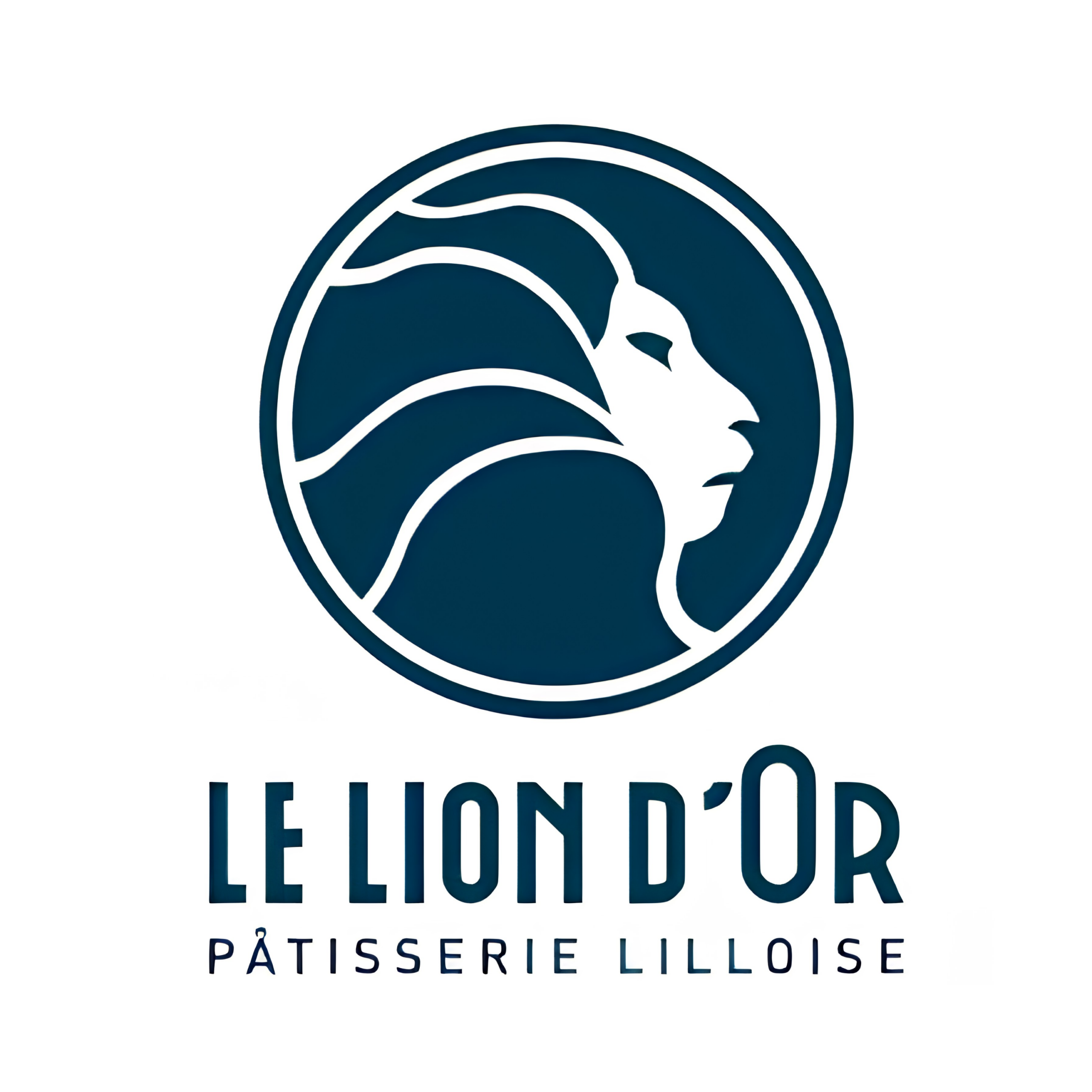 Le lion d'or Logos entreprises mécènes partenaires privés Positive Lab association enfance Roubaix Hauts-de-France